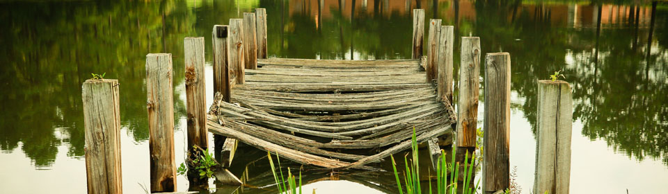 First Slide. nature 1