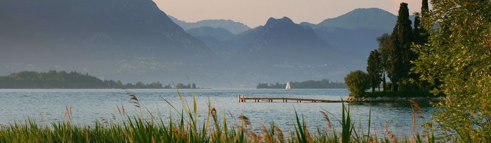 Second Slide. nature 2