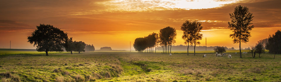 Third Slide. nature 3